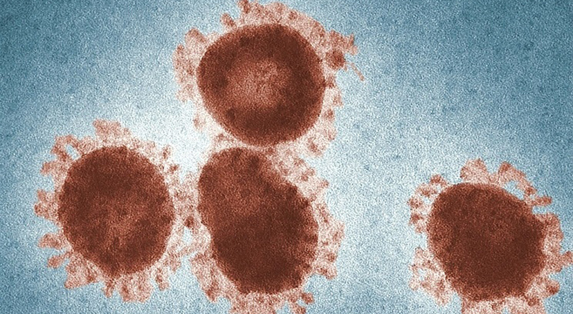 Coronavirus cdc 1160x636
