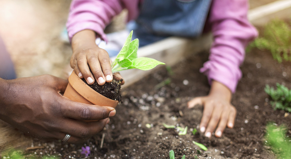 Family planting plant 72px