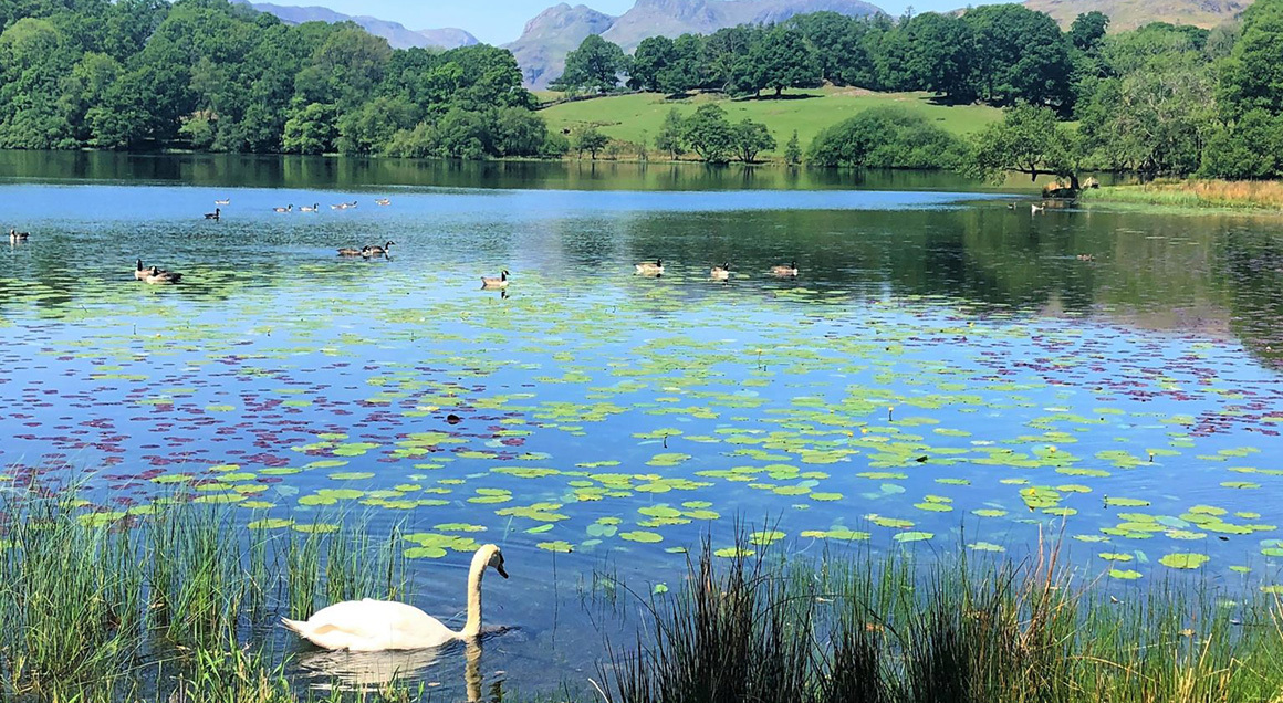 Lake district 72px
