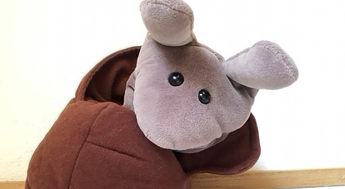 Mort the Snail