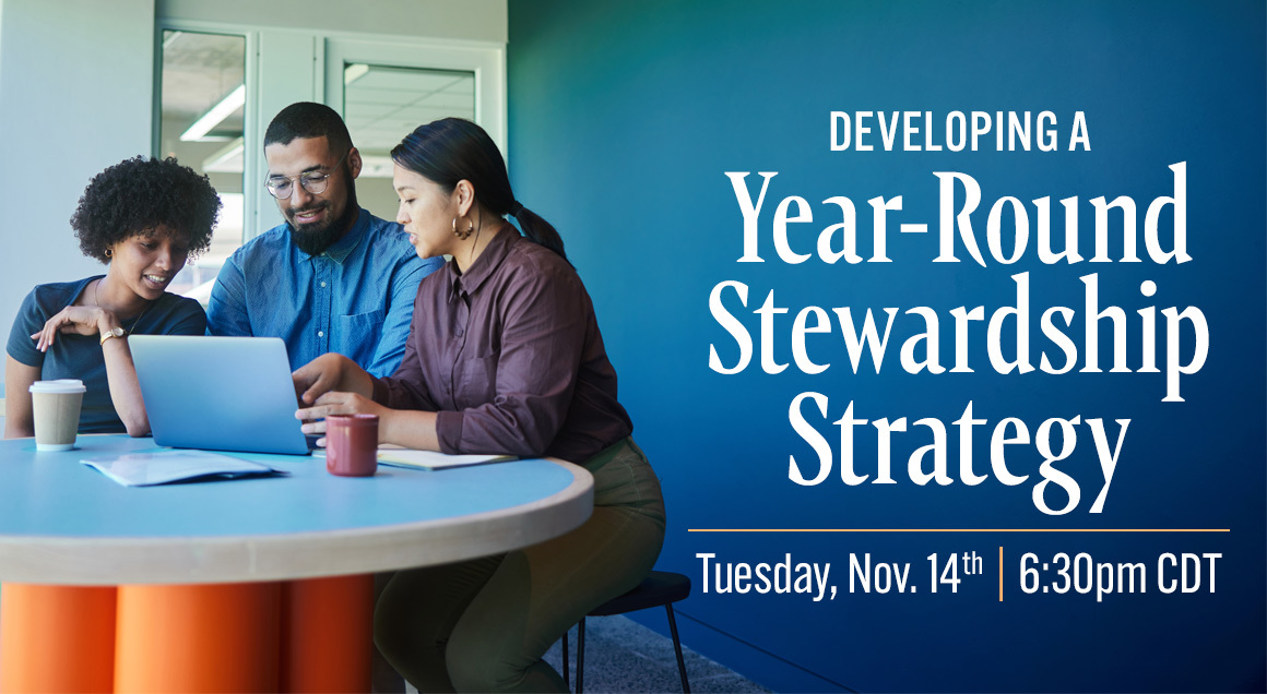 Stewardship Strat Banner