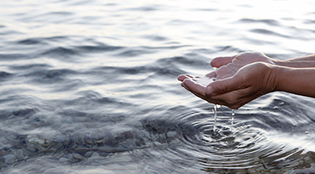 Stock hands cupping water
